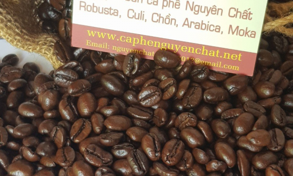 Nét đặc trưng của cà phê Arabica