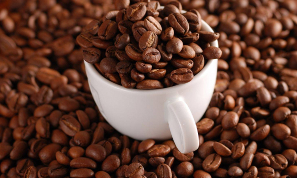 Cà phê moka - Hương vị cà phê thượng hạng