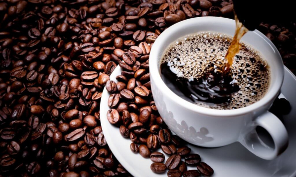 Làm thế nào để chọn mua cà phê Arabica ngon?