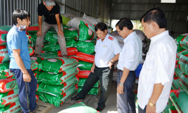Phát hiện hơn 4 tấn lúa giống nhái thương hiệu ST 24