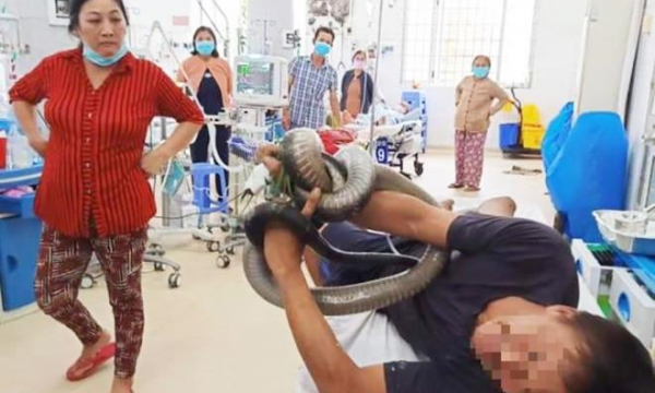 Người đàn ông ôm rắn vào bệnh viện cấp cứu: Liều mạng kiếm tiền nộp học cho con