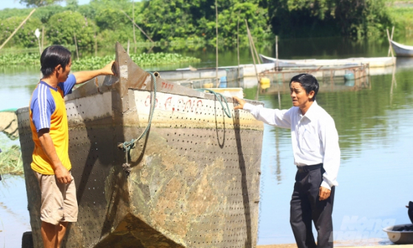 Quảng Trị: Nuôi cá 'lồng thuyền' thích ứng biến đổi khí hậu