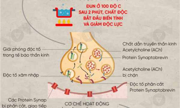 Tìm hiểu độc tố Botulinum nguy hiểm nhất thế giới có trong Pate Minh chay