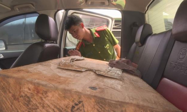 Bắt 2 giáo viên ở Đắk Lắk vận chuyển gỗ Pơ Mu quý hiếm