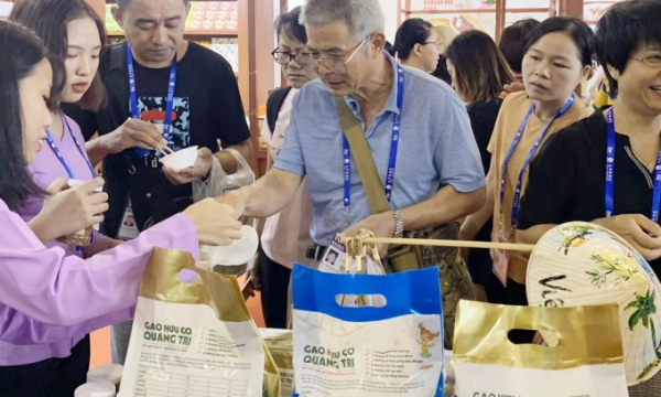 Gạo hữu cơ 'vô cùng sạch' của Quảng Trị bước ra thị trường