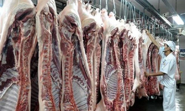 Doanh nghiệp nuôi lợn: Doanh thu hơn 10.000 tỷ đồng, cổ phiếu tăng sốc