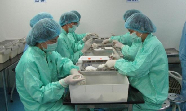 Quy trình thử nghiệm vaccine COVID-19 trên người ở Việt Nam thực hiện thế nào?