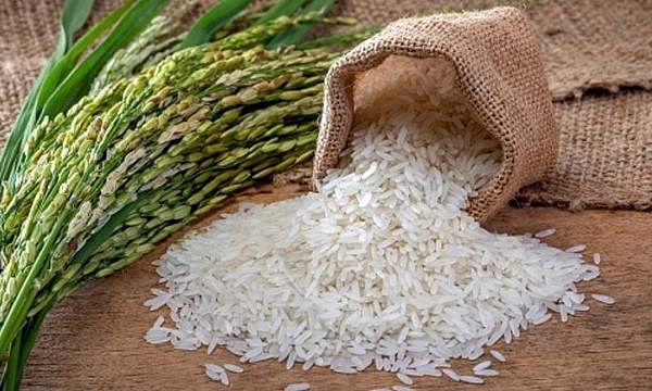 Giá lúa gạo hôm nay ngày 9/11: Đầu tuần giao dịch chậm