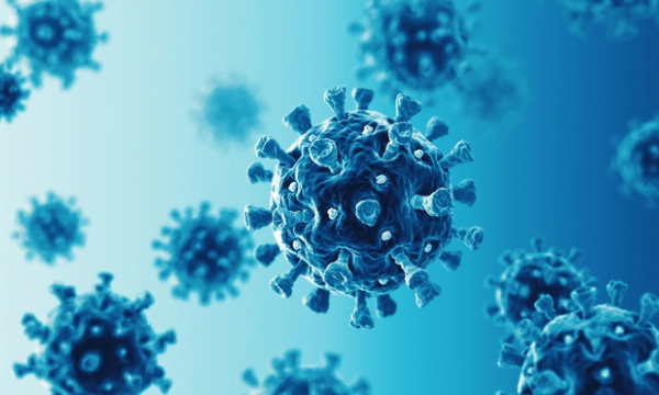 Nhà khoa học Mỹ tìm thấy virus corona trong tinh hoàn của bệnh nhân