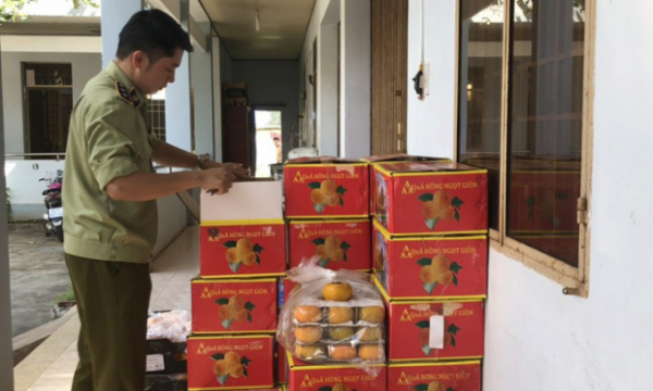Bình Phước: Bắt giữ gần 1,2 tấn trái cây nhập lậu