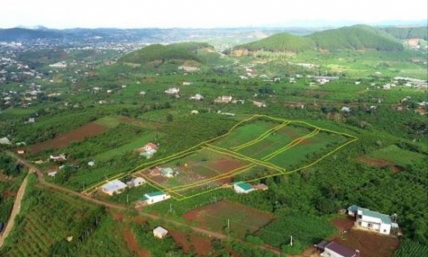 Xẻ đồi phân lô tràn lan ở Lâm Đồng: Hệ luỵ địa phương và khách hàng phải 'gánh'