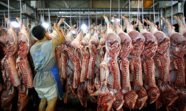 Giá lợn hơi hôm nay 11/12: Tiếp tục tăng 1.000 - 2.000 đồng/kg