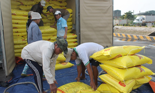 Lý do lần đầu Việt Nam mua gạo Ấn Độ
