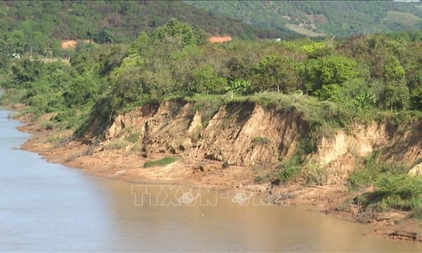 Nạn khai thác cát lậu tái diễn, sông Đồng Nai 'kêu cứu' vì sạt lở nghiêm trọng