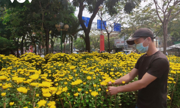 Hoa, cây cảnh Tết ở TP HCM ế khách, tiểu thương ngao ngán