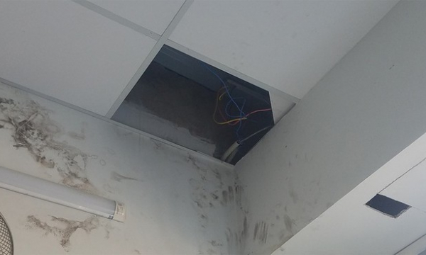 Trộm đục mái cửa hàng Điện Máy Xanh trộm điện thoại