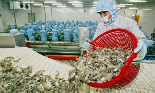 Việt Nam là thị trường cung cấp tôm lớn nhất cho Nhật Bản