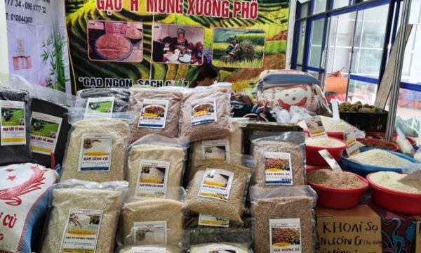 Giá chào bán giảm 10 USD/tấn, xuất khẩu gạo vẫn nhiều cơ hội