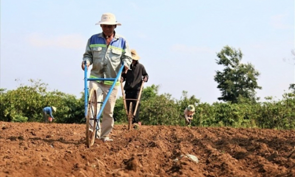 Tự ý xây nhà trên đất nông nghiệp bị phạt đến 1 tỉ đồng
