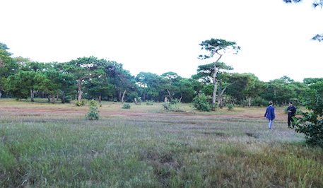 Chuyển mục đích gần 156ha rừng sản xuất làm sân golf Đak Đoa ở Gia Lai