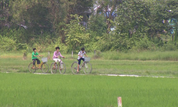 Huyện Củ Chi kêu gọi đầu tư vào 17.000 ha đất