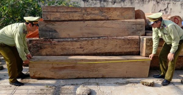 Tiền Giang: Tạm giữ hơn 9 m3 gỗ trị giá khoảng 100 triệu không có hồ sơ lâm sản hợp pháp