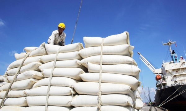 Nhập gạo Ấn Độ tăng đột biến, hoả tốc lập đoàn kiểm tra 5 doanh nghiệpNhập gạo Ấn Độ tăng đột biến, hoả tốc lập đoàn kiểm tra 5 doanh nghiệp