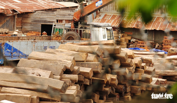 Làm rõ vụ tráo gỗ tang vật tại Cục Thi hành án dân sự Đắk Lắk vào đầu tháng 7-2021