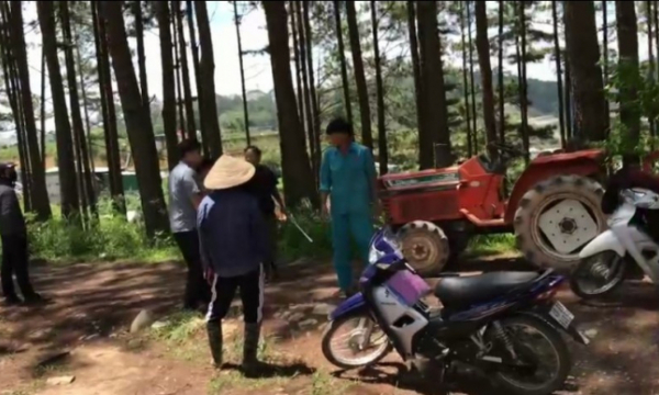 Đà Lạt: Lấn chiếm đất rừng còn hành hung phó chủ tịch phường, bị bắt khẩn cấp