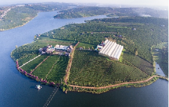 Hưng Thịnh cùng 2 đối tác đề xuất quy hoạch 15.000 ha ở Lâm Đồng