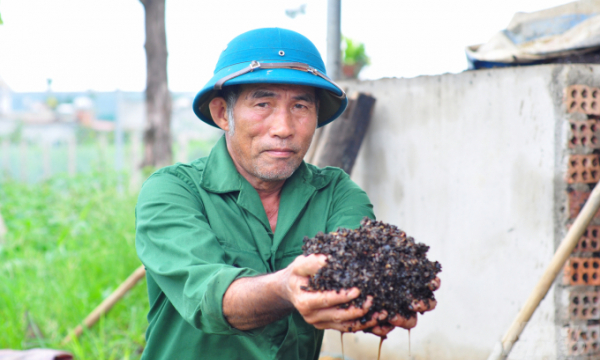 Làm 'sống lại' đất trồng cà phê nhờ sản xuất hướng hữu cơ