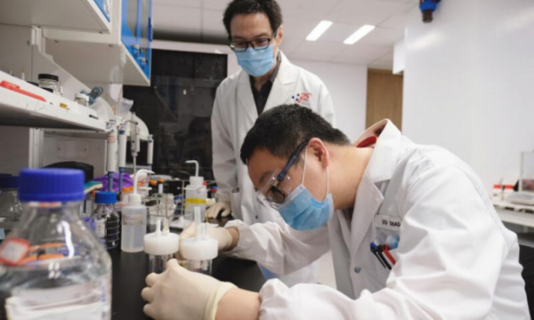 Singapore nghiên cứu ra cách sản xuất phân urê xanh- sạch- rẻ