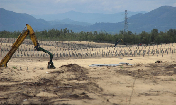 Chủ đầu tư nói gì về việc xâm phạm rừng phòng hộ ngoài dự án ở Bình Định?