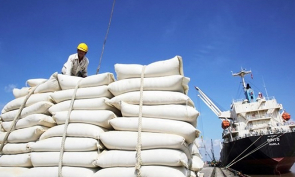 Giá gạo xuất khẩu của Việt Nam đang tăng trở lại