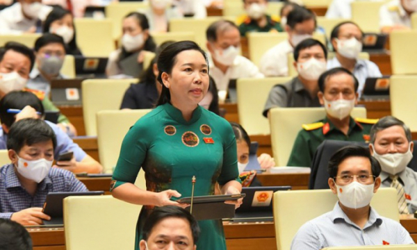Đại biểu Quốc hội nhắc vụ phân bón Thuận Phong, gỗ trắc Quảng Trị