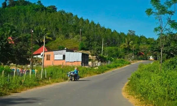 Lộ diện hệ sinh thái 'đối thủ hóa đối tác' xung quanh Công ty Thuận Huy [Kỳ 2]
