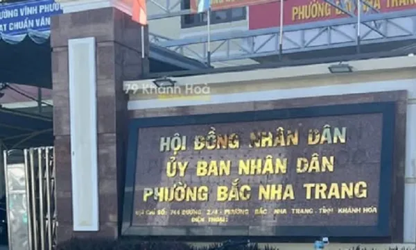 19/19 gói thầu gọi tên Công ty Công Nghệ New tại Khánh Hòa: Dấu hỏi về tính cạnh tranh [Kỳ 1]