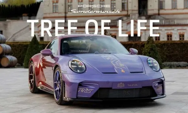Ngắm chiếc Porsche 911 GT3 chính hãng màu mè nhất từng sản xuất