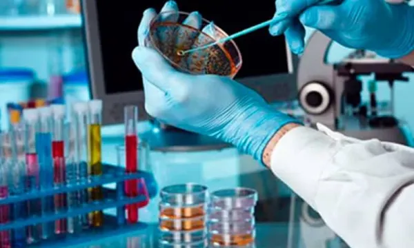 Học bổng cho sinh viên ngành STEM từ 3,5 đến 5,5 triệu đồng/tháng năm 2025