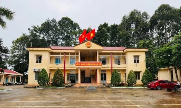 Liên tiếp trúng thầu tại xã Lộc Tấn, công ty Thắng Vũ có năng lực ra sao?