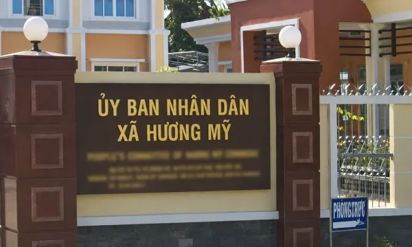 Công ty Nam Việt Ân trúng gói gia cố đê sông Cổ Chiên hơn 1 tỷ đồng