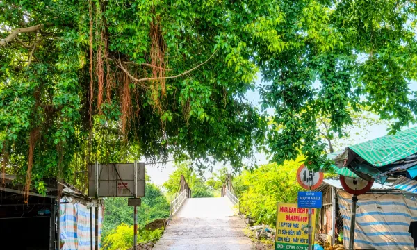Đồng Tháp: Gói xây lắp hơn 2 tỷ đồng về tay An Phúc Đồng Tháp
