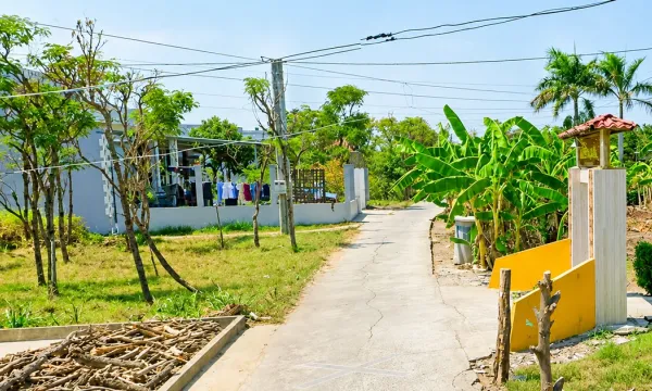 Đồng Tháp: Công ty Thái Bảo trúng gói thầu đường vào Miễu bà, tiết kiệm 3,72%