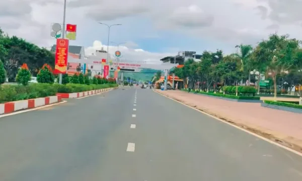 Lộ diện hàng loạt gói thầu vi phạm thời hạn công khai thông tin tại Lâm Đồng [Kỳ 2]