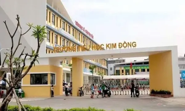 Công ty Gia Võ vượt qua hai đối thủ để trúng gói thầu xây lắp trường học tại TP HCM