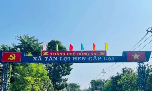 Xuất nhập khẩu 368 trúng gói thầu xây lắp hơn 7 tỷ tại xã Tân Lợi