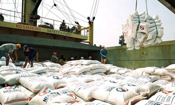 Tờ khai xuất khẩu gạo lúc nửa đêm bỗng dưng biến mất