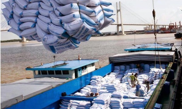 Hỏa tốc mở tờ khai xuất khẩu gạo đã đưa vào cảng, cửa khẩu
