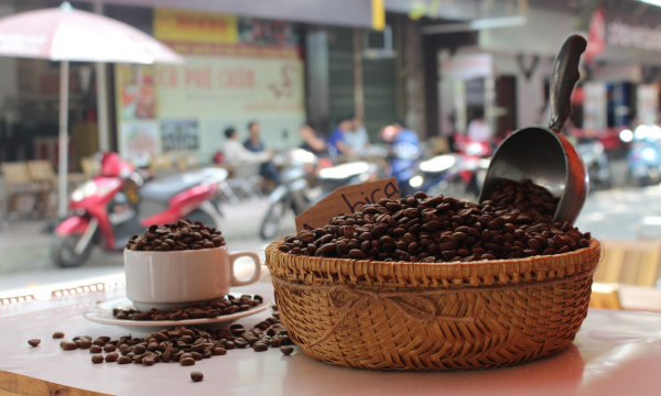 Bạn hiểu thế nào về cà phê Arabica nguyên chất?