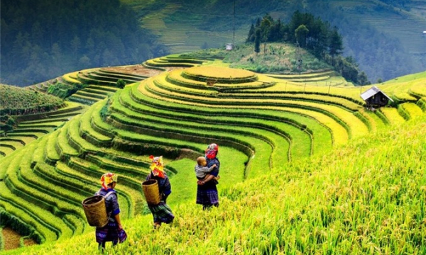 5 địa điểm nổi tiếng ở các vùng nông thôn Việt Nam
